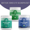 Detox smuuti komplekt